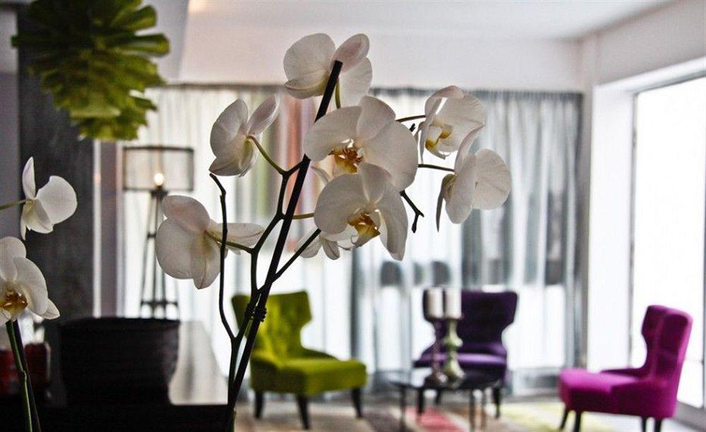 Hotel Feliz Palma
